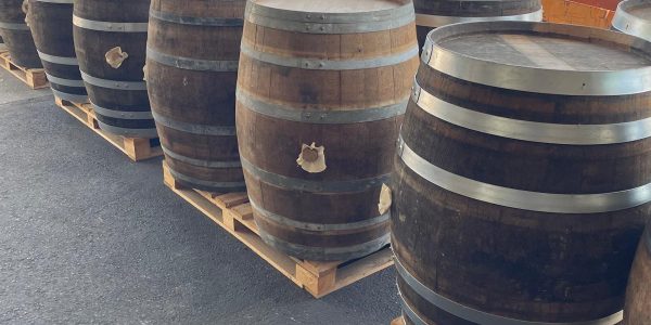 350L Cognac - 2026