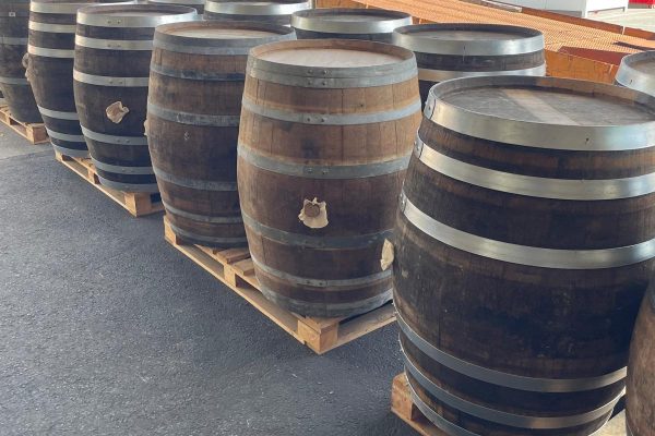 350L Cognac - 2026