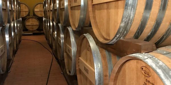 AMARONE - 600L - 1