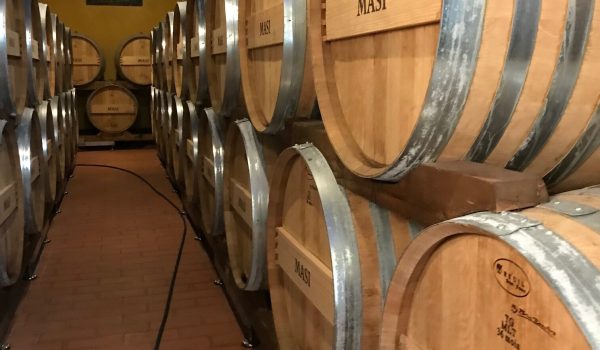 AMARONE - 600L - 1