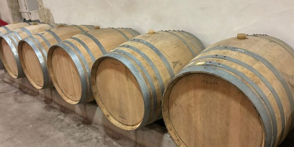 Sauternes - Bastor Lamontagne - 2026
