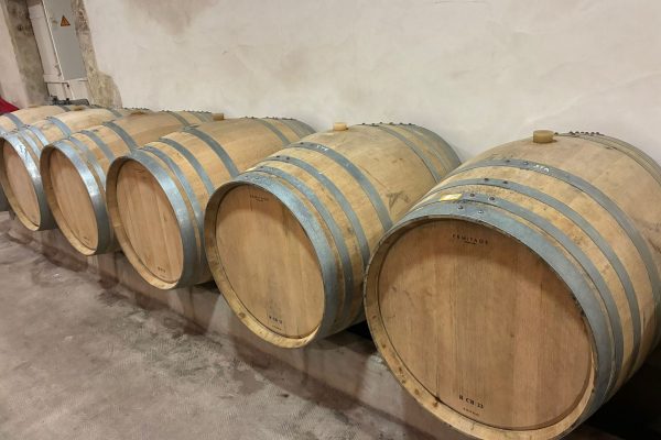 Sauternes - Bastor Lamontagne - 2026